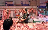 [ẢNH] Phương án chống chọi với dịch tả lợn Châu Phi ở một số nước trên thế giới