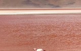 [ẢNH] Chiêm ngưỡng vẻ đẹp của những hồ nước kỳ lạ nhất thế giới