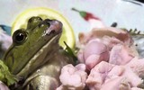 [ẢNH] Rợn người với 9 món ăn 