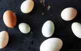 [ẢNH] Những tác dụng không ngờ của việc ăn trứng luộc vào buổi sáng