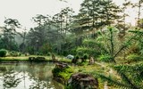 [ẢNH] Chiêm ngưỡng vẻ đẹp của 4 Vườn Di sản ASEAN mới tại Việt Nam