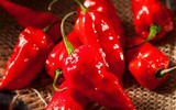 [ẢNH] Top 10 loại ớt siêu cay không phải ai cũng dám thử