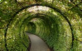 [ẢNH] Những khu vườn kỳ bí nhất thế giới