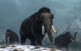 Phát hiện gây sốc về hố bẫy voi ma mút đầu tiên trong lịch sử loài người