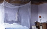 [ẢNH] Những cách phòng chống muỗi tại nhà đơn giản và hiệu quả nhất