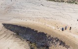 [ẢNH] Những bức hình đầy ám ảnh về ô nhiễm môi trường biển ở Brazil