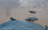 [ẢNH] Những bức hình đầy ám ảnh về ô nhiễm môi trường biển ở Brazil