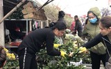 [ẢNH] Nhộn nhịp chợ hoa Quảng An ngày cuối năm trong mưa lạnh