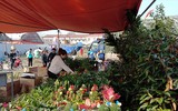 [ẢNH] Những phiên chợ kỳ lạ họp vào dịp đầu năm của người Việt