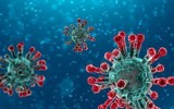 [ẢNH] Cách phân biệt khi bị nhiễm virus corona và bệnh cảm lạnh thông thường