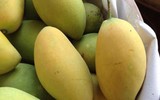 [ẢNH] Các mặt hàng nông sản trái cây Việt 