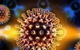 [ẢNH] Những loài động vật là ổ chứa tự nhiên của nhiều virus 