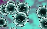 [ẢNH] Dịch corona: Trả lời 13 câu hỏi sau để hiểu hơn về virus 2019-nCoV