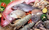 [ẢNH] Những lưu ý khi chế biến hải sản tránh gây ngộ độc