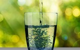 [ẢNH] Bổ sung nước đúng cách trong mùa nắng nóng để tăng sức đề kháng