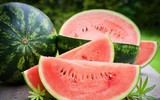 [ẢNH] Những thực phẩm giúp thanh lọc cơ thể cực tốt vào mùa hè không thể bỏ qua