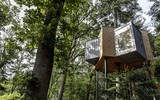 [ẢNH] Những ngôi nhà cây có thiết kế 