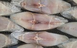 [ẢNH] Những loại cá ngon nhưng không nên ăn quá nhiều
