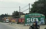 Đây có phải là 'con đường sữa' to-dài nhất Việt Nam?