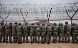 Những khoảnh khắc hiếm có ở DMZ - nơi nguy hiểm nhất hành tinh