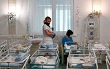[Ảnh] Cả trăm trẻ em được đẻ thuê mắc kẹt tại Ukraine vì đại dịch Covid-19
