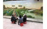 Khu tập thể cũ Hà Nội bất ngờ 'biến thành' làng trồng húng Láng nức tiếng một thời