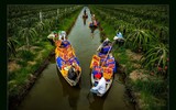 [ẢNh] 107 bức ảnh di sản Việt Nam xuất sắc nhất chia sẻ những khoảnh khắc 