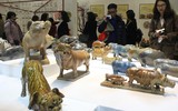 Tết đến, ngắm đàn lợn hàng nghìn con của nhà sử học Dương Trung Quốc