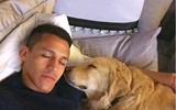 [ẢNH] Ronaldo, Messi, Neymar và những ngôi sao bóng đá hết lòng yêu loài chó