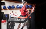 [ẢNH] Toàn cảnh màn trở lại gây sốt của Ibrahimovic với AC Milan