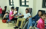 Học sinh Thủ đô vận động cha mẹ tham gia hiến máu tình nguyện