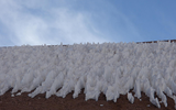 Kỳ thú cánh đồng tuyết trên sa mạc, nơi khô cằn nhất thế giới