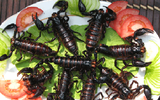 Những món ăn từ côn trùng ngon nhất thế giới có mặt ở Việt Nam