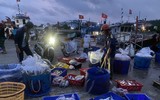 Sắc màu chợ cá lúc sáng sớm trên đảo Lý Sơn