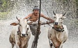 [ẢNH]Các bức ảnh đẹp mê hồn về Việt Nam