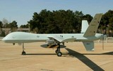 [ẢNH] Iran bất ngờ sao chép thành công ‘quái điểu’ MQ-9 Mỹ?