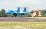 Chiến đấu cơ Su-27 Ukraine bất ngờ tấn công quân Nga trên đảo Rắn