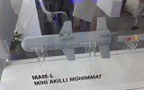 [ẢNH] Tên lửa MAM-L đã gây thiệt hại hàng tỷ USD cho vũ khí Nga như thế nào?