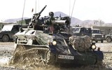 Đức dự định cung cấp cho Ukraine thiết giáp đổ bộ đường không Wiesel độc đáo
