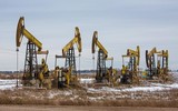 Phản ứng của Nga trước lệnh cấm vận dầu mỏ khiến châu Âu nản lòng