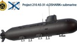 Bí ẩn về thảm họa xảy ra trên tàu ngầm gián điệp tuyệt mật AS-31 Losharik của Nga