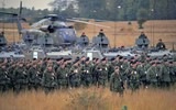 Tổng thống Putin 'giải giáp' 300 nghìn binh sĩ NATO gần biên giới chỉ bằng ‘hai bước đi’?