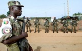 Đàm phán thất bại, Khối ECOWAS sẵn sàng can thiệp quân sự vào Niger