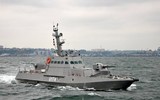 Nga tái trang bị vũ khí cho tàu tuần tra Gyurza-M chiến lợi phẩm vì mục đích đặc biệt
