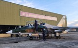 Việt Nam nhận máy bay huấn luyện L-39NG đầu tiên