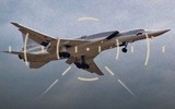 Tranh cãi kịch liệt xung quanh vũ khí đã bắn hạ máy bay ném bom Tu-22M3