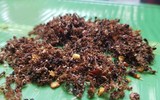 [ẢNH] 'Choáng' với những món ăn độc lạ từ loài kiến không phải ai cũng dám thử