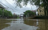 [ẢNH] Cảnh tượng tại Huế: Mưa lớn dồn dập, phố như sông, cây xanh ngã đổ 