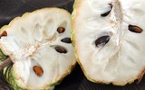 [ẢNH] Nguy hại sức khỏe từ hạt của những loại quả 