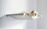 [ẢNH] Cuộc sống thượng lưu của “cô mèo” giàu nhất thế giới